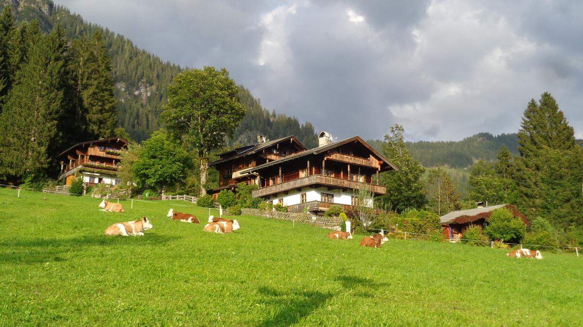 Los prados paradisíacos de Alpbach.