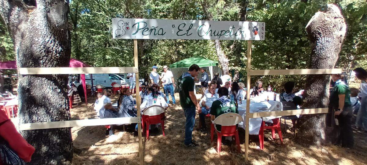 Espacio del bosque donde la peña ‘El Chupetín’ disfruta de la romería.