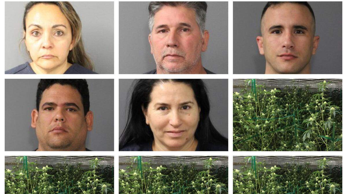 Red de traficantes de marihuana en Colorado.