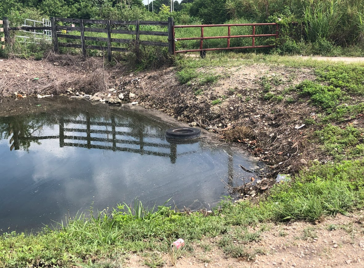 Jefe del Departamento de Carreteras de Hialeah, José Sánchez estima que botadero ilegal de basura en Hialeah Nw 107th st y NW 97th Av puede causar daño ambiental