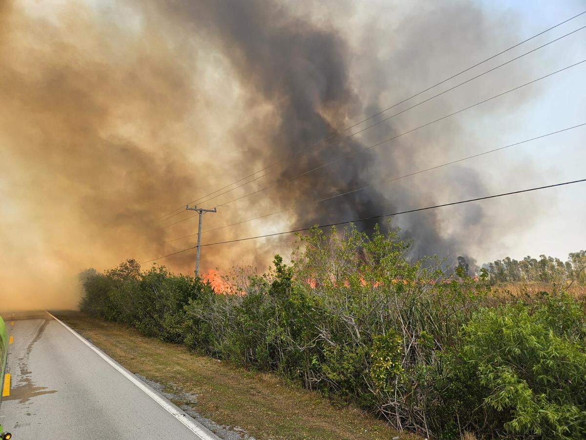 Un incendio forestal en el sur del Condado Miami-Dade ha devorado 22,000 acres, según el Departamento de Bomberos.