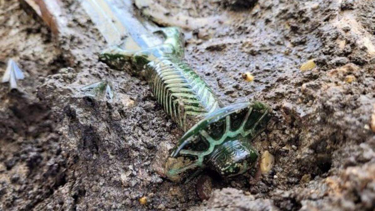 Imagen de la espada de bronce de 3.000 años recién descubierta en Alemania - OFICINA DE CONSERVACIÓN DE PATRIMONIO DE BAVIERA