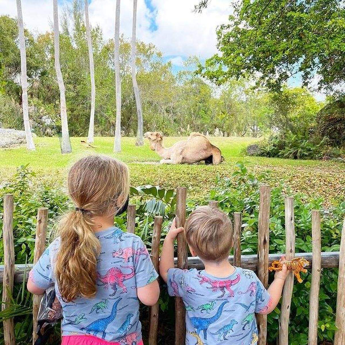 Zoo Miami ha preparado la búsqueda del tesoro con premios en el parque a través del teléfono móvil. del 17 de abril al 2 de mayo, de 10 a.m. a 5 p.m.
