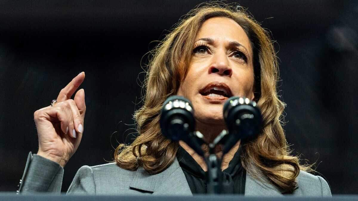 Kamala Harris expuso este miércoles su programa económico, la principal preocupación para muchos votantes estadounidenses, y acusó a su rival electoral Donald Trump de ser amigo de los millonarios.