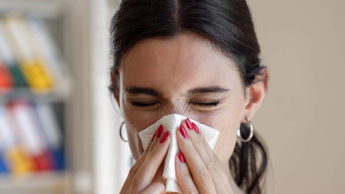 Las fosas nasales nos defienden del resfriado común y fijan la gravedad de la infección