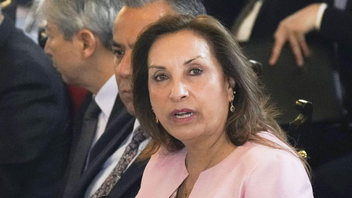 La presidenta peruana Dina Boluarte mantiene conversaciones con el primer ministro japonés Shigeru Ishiba en Lima el 17 de noviembre de 2024. 

