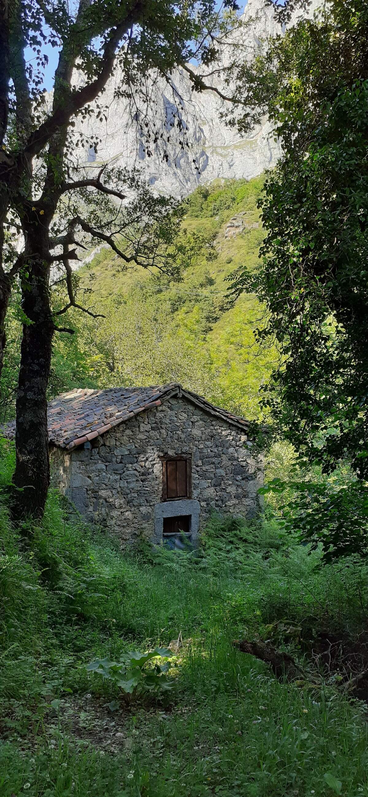 Cabaña rústica en la Ruta del Cares, Picos de Europa en Asturias.