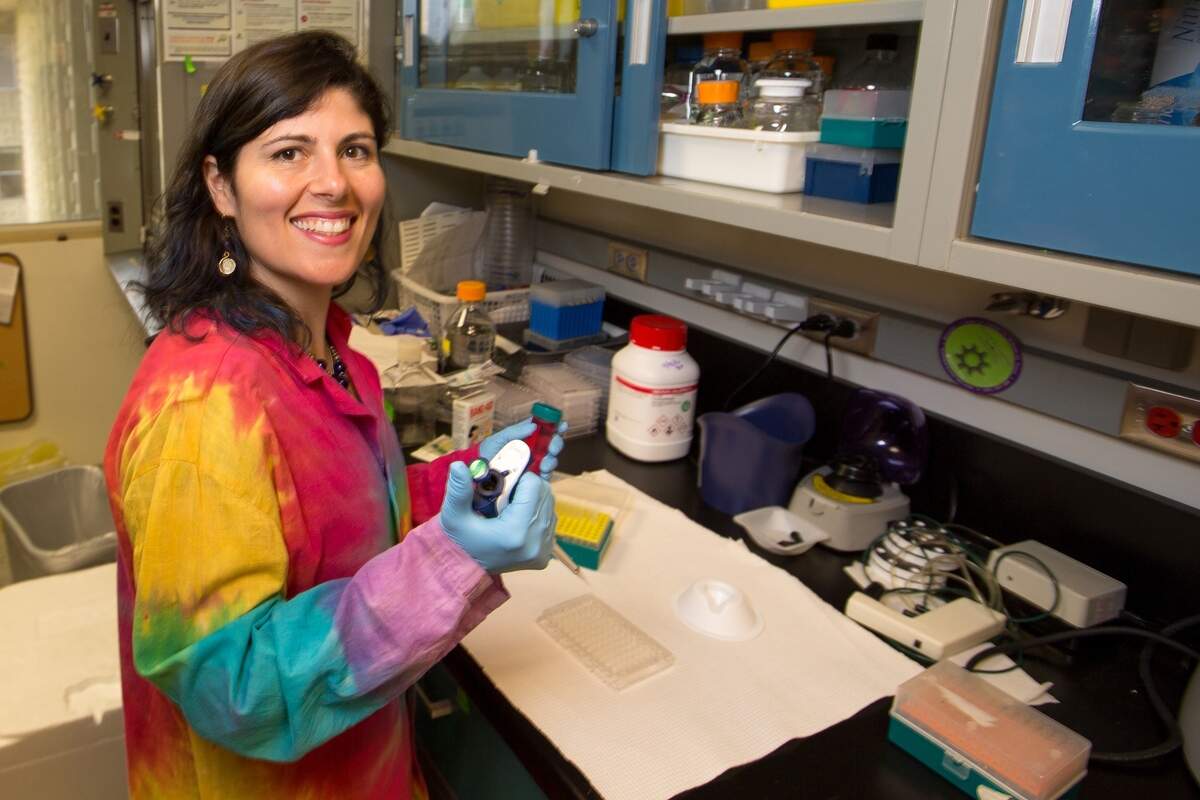 La Dra. A. Desiree LaBeaud, médica especialista en enfermedades infecciosas de la Universidad de Stanford, viaja por el mundo estudiando enfermedades transmitidas por mosquitos.