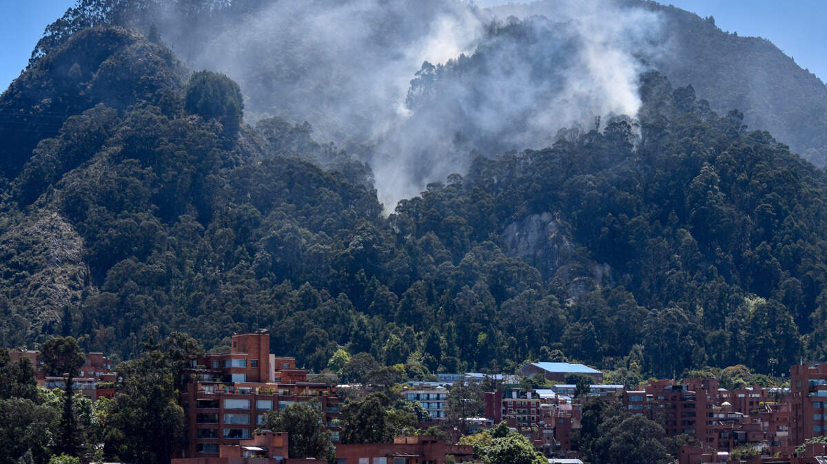 El gobierno de Colombia elevó la cifra de incendios activos de 25 a 31 el jueves, pese a que logró controlar otras nueve emergencias en las últimas horas.