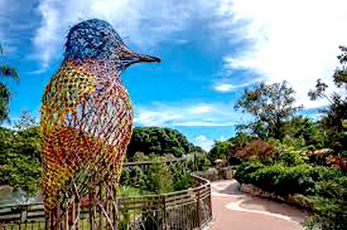 Pinecrest Gardens, la joya botánica histórica del sur de la Florida, anuncia con orgullo su primera exhibición Avian Oasis.
