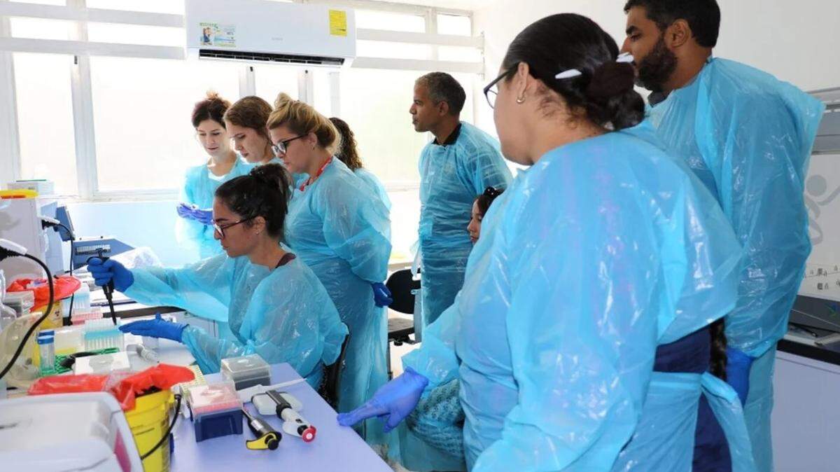El virus Oropouche es uno de los temas del 18vo Curso Internacional de Dengue y otros arbovirus emergentes, que acontece en La Habana, Cuba, del 19 al 30 de agosto.