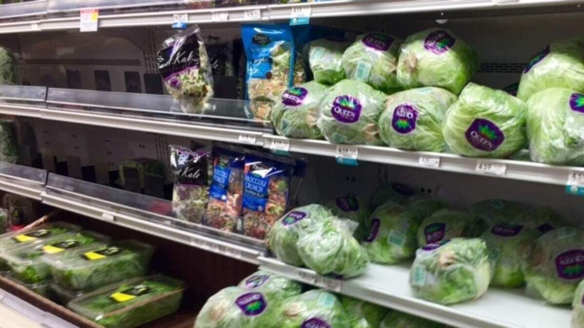 Aumentan casos en Miami del parásito que causa ‘diarrea explosiva’: ¿Qué alimentos debes evitar?