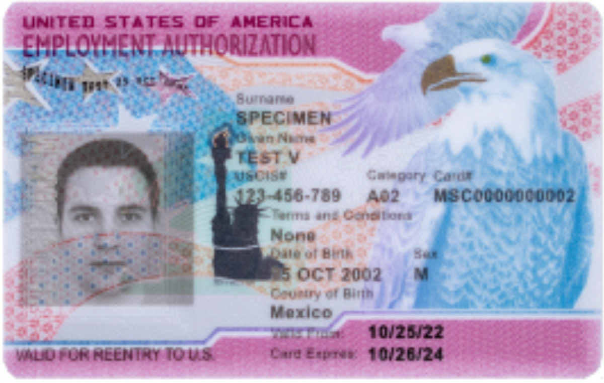 Nuevo diseño de la parte frontal del documento de autorización de empleo (EAD).