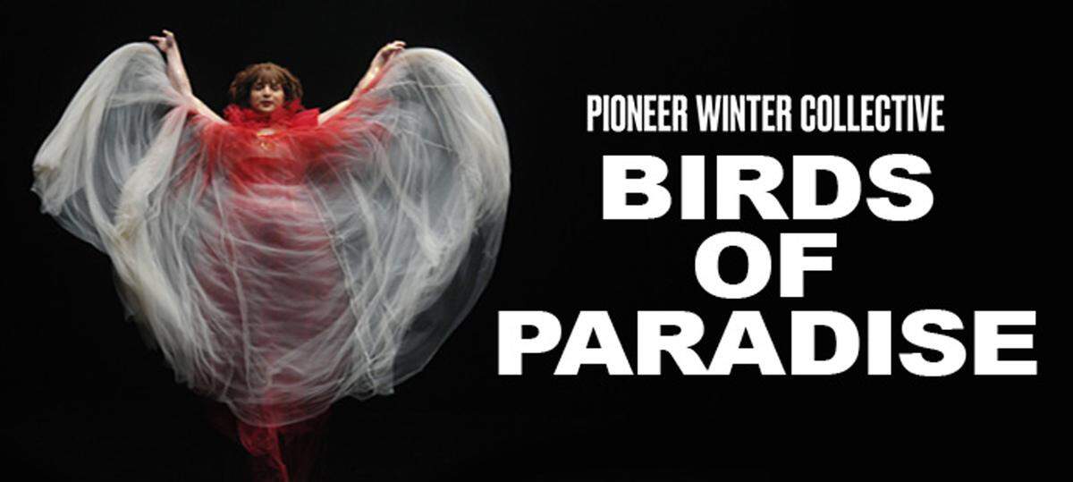 “Pájaros del paraíso” por Pioneer Winter Collective en el Arsht Center.