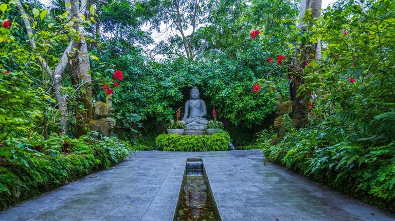 Miami Oculto se va a un bosque mágico, a descubrir un jardín y santuario de meditación con 99 tonos de verde