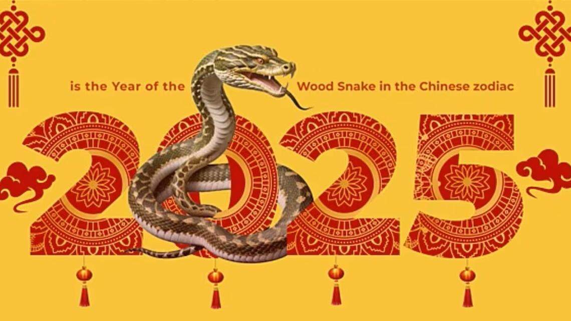 La Serpiente de Madera, según la Astrología China, presenta un año 2025 sutil, suave, se podría decir liviano, que aporta optimismo.