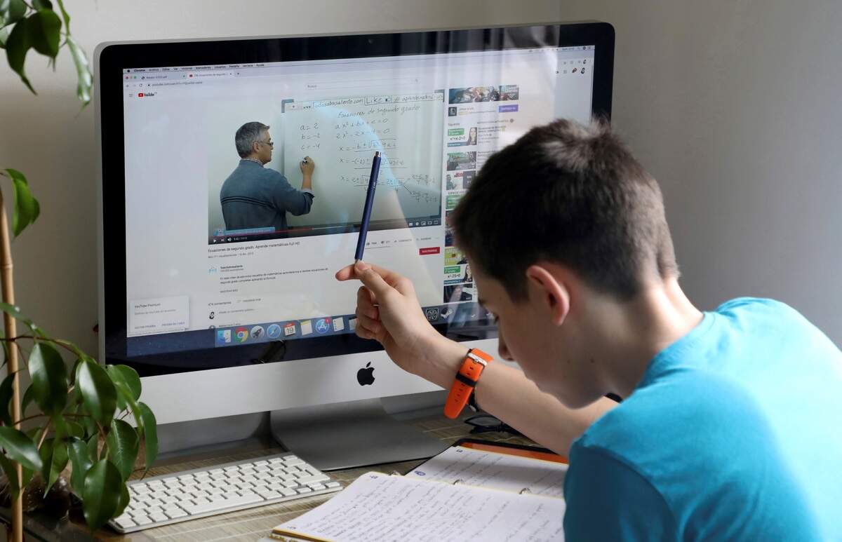 El DHA, que se adquiere a través del consumo de pescados grasos, está asociado a una mayor capacidad de atención selectiva y sostenida en adolescentes, mientras que el ácido alfa-linolénico se asocia con una menor impulsividad.
