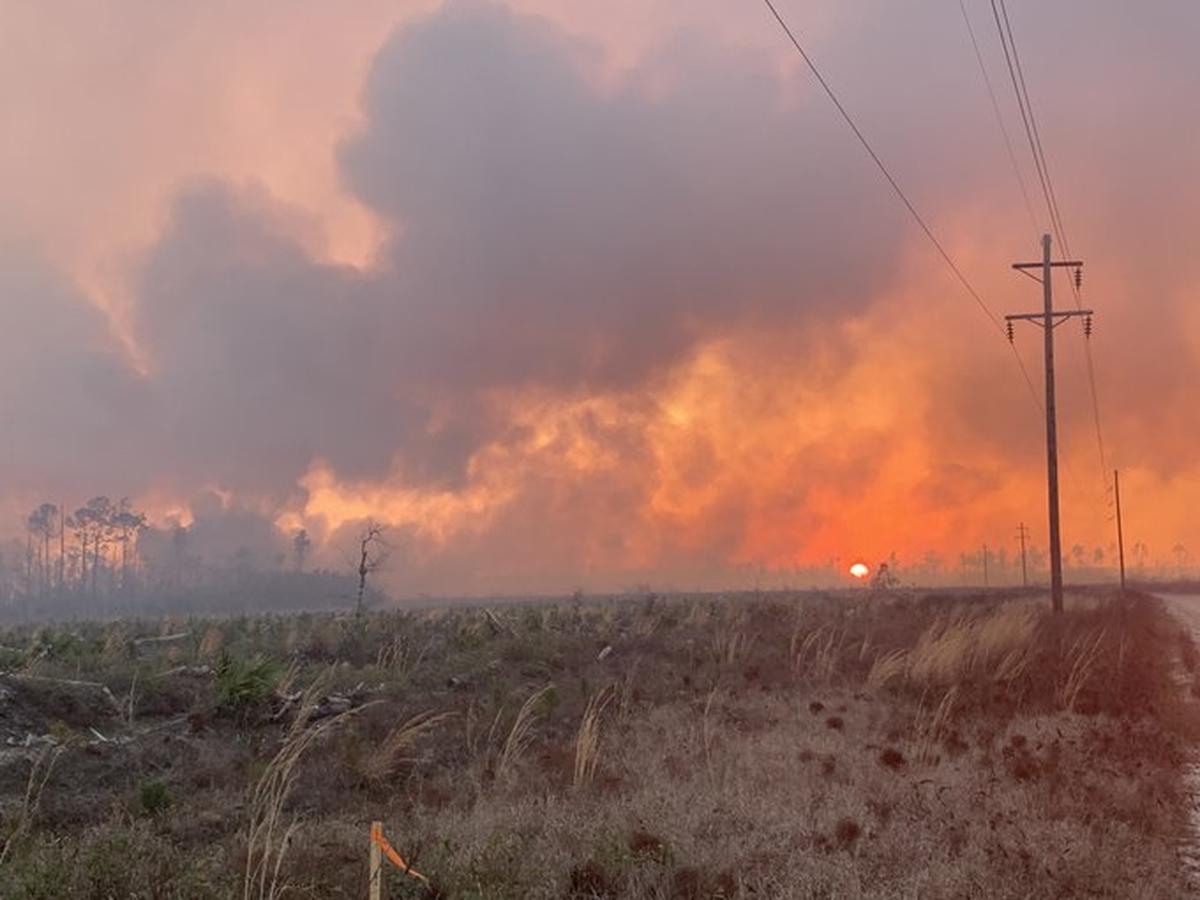 Incendios en el Panhandle de la Florida han devorado 9,400 acres obligando a la evacuación de los residentes de 600 viviendas.
