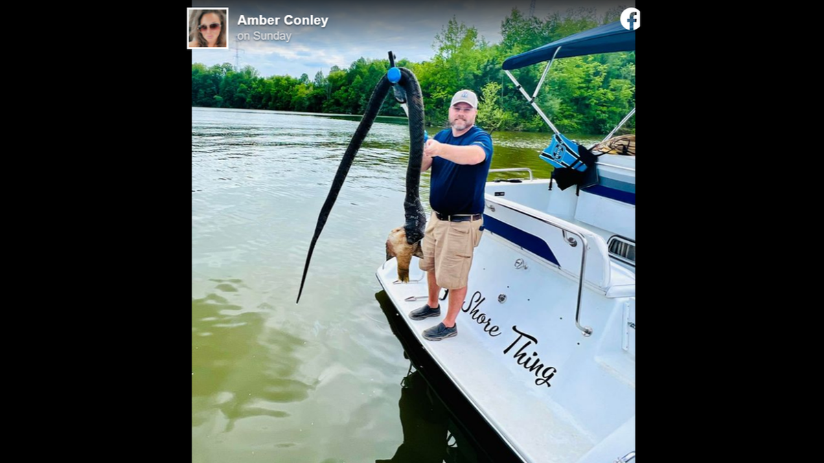 Una pareja que navegaba en el Lago Brookville en Indiana, encontró una enorme serpiente muerta.