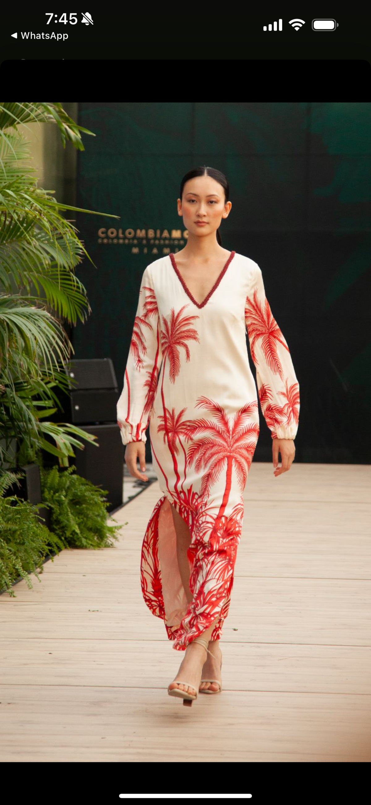 Desfile del diseñador Andrés Otárola.