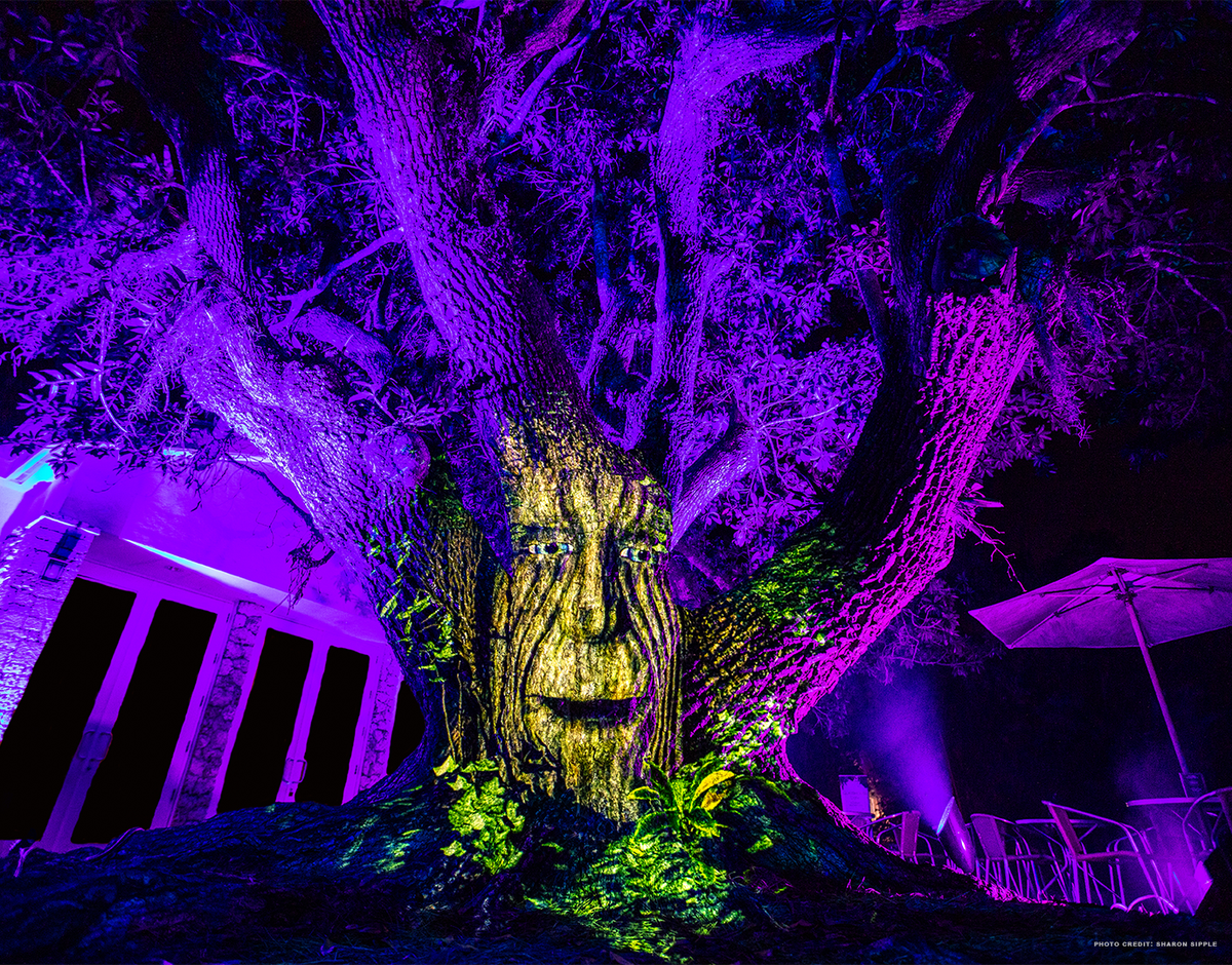 Cada año “Arquímedes”, el árbol sabio que habla, es uno de los favoritos en el Fairchild Tropical Botanic Garden.