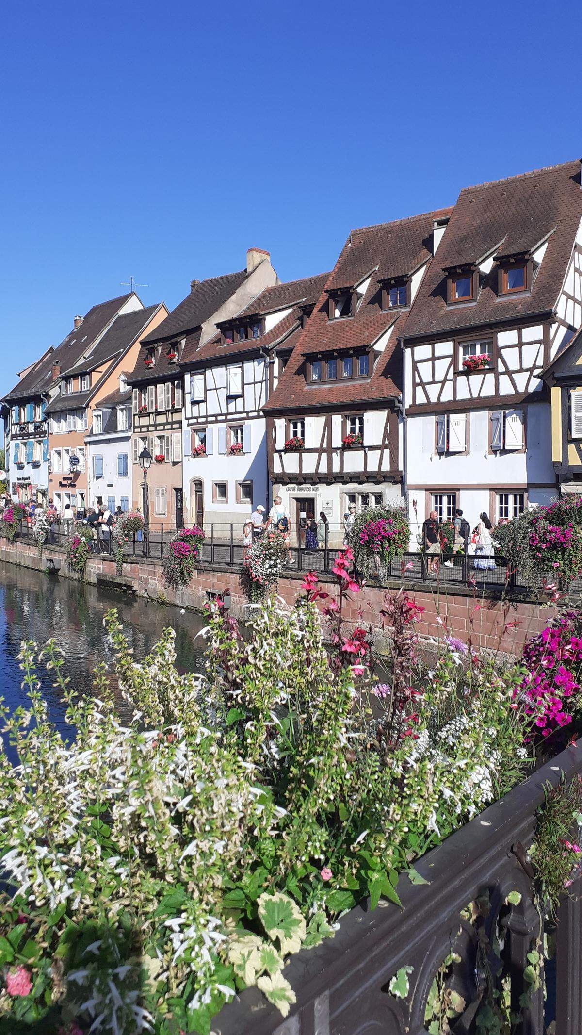 Los canales floridos de Colmar.