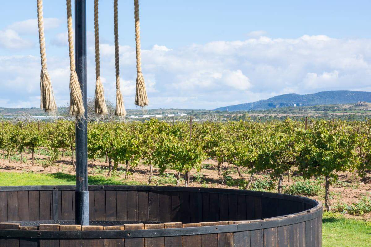 En México, la localidad de Bernal, en el estado de Querétaro, también ha mantenido una tradición vinícola a sus alrededores. Aquí se puede visitar la bodega Puerta del Lobo, que muestra el proceso de elaboración y ofrece una degustación de sus vinos.