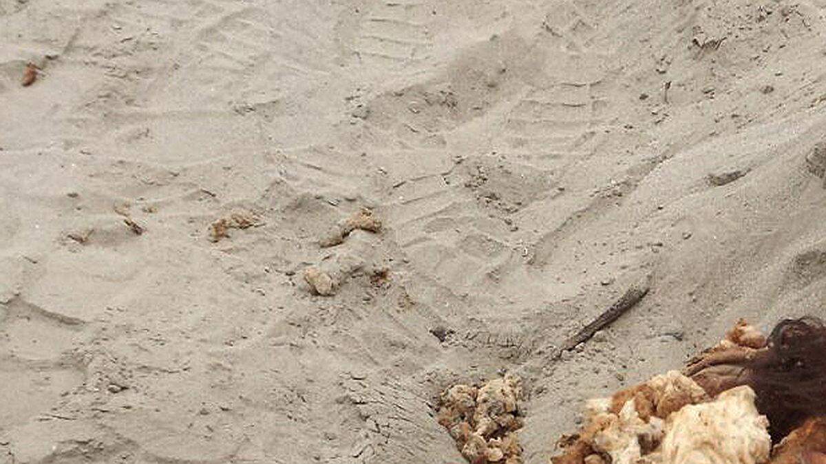 La calavera de una momia prehispánica, posiblemente de la cultura Ichma, fue descubierta cerca de una transitada avenida de Lima (Perú), en el distrito residencial de La Molina el jueves 15 de octubre de 2015. Los restos corresponden a una mujer, cuyo fardo funerario se encontraba parcialmente desenterrado en su parte superior al momento del hallazgo y permite apreciar la calavera.