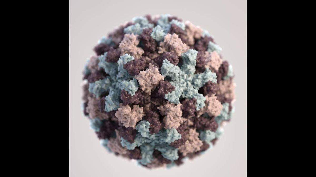 Norovirus is a leading cause of acute gastroenteritis outbreaks in crowded or populated areas.