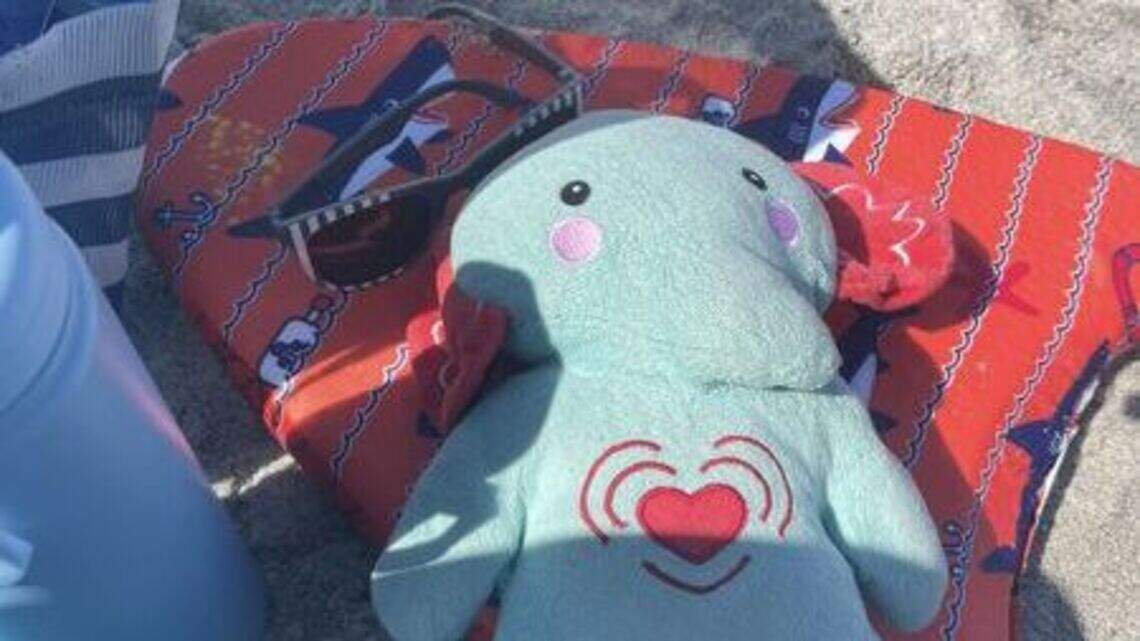 ¿Usted ha visto este elefante en Florida? Está perdido y contiene las cenizas de un niño