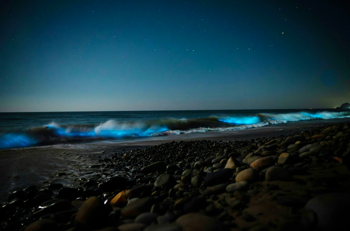 La Coralina Island House, Panamá: el mar cuando nadie lo mira, la selva cuando deja de disimular