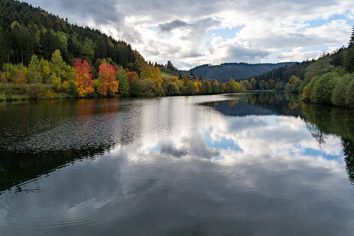 Parque Nacional de la Selva Negra (Alemania).