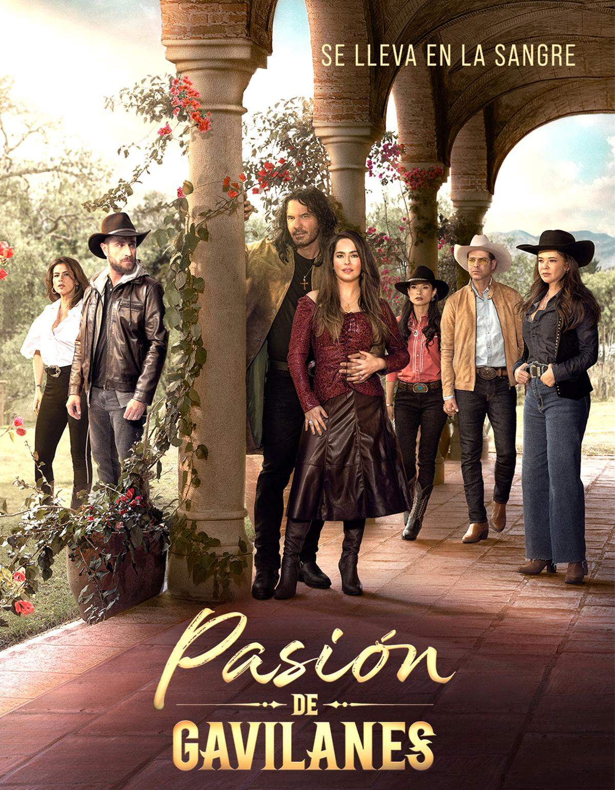 El premio al 'Oscaremake' las redes sociales se lo dieron a Pasión de Gavilanes, una serie que resucitó luego de 20 años, y que ha sido un éxito en toda Hispanoamérica.