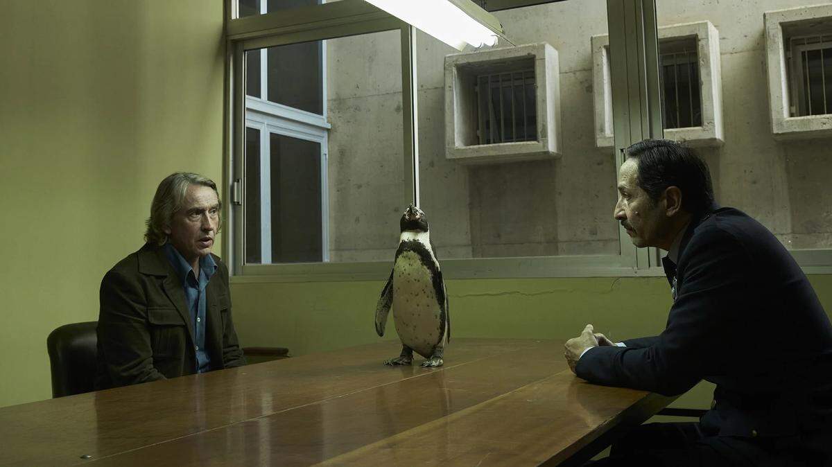 Coral Gables Art Cinema estrena el viernes la comedia dramática ‘The Penguin Lessons’ (2024) basada en la novela autobiográfica del mismo título de Tom Michell.