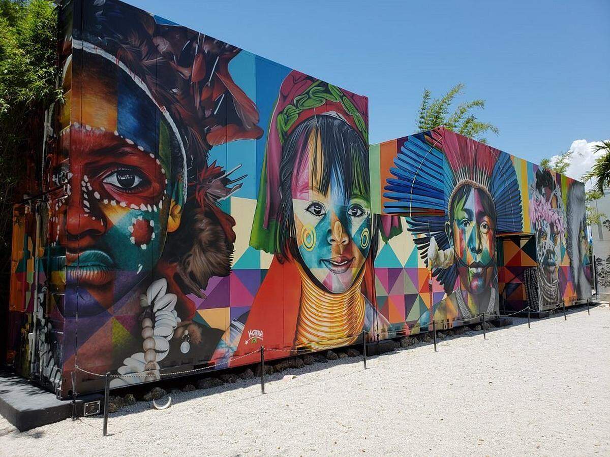 Explora las artes, la cultura y el patrimonio de Wynwood Walls.
