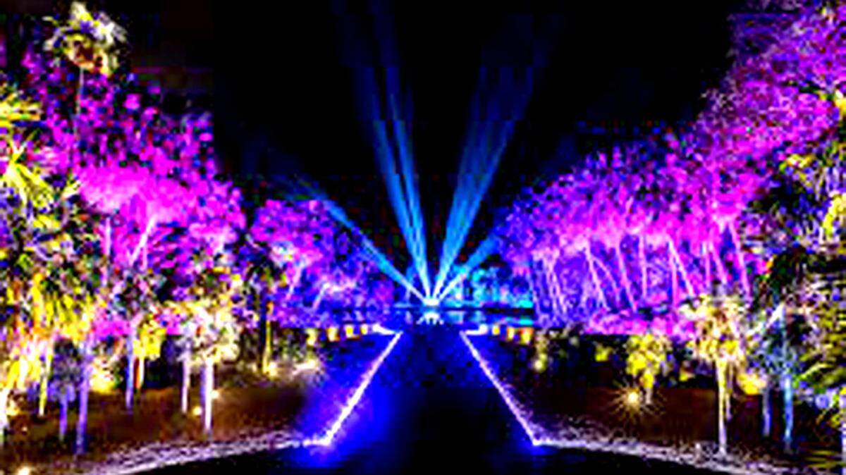 El Jardín Botánico Tropical Fairchild se transforma en The Night Garden.