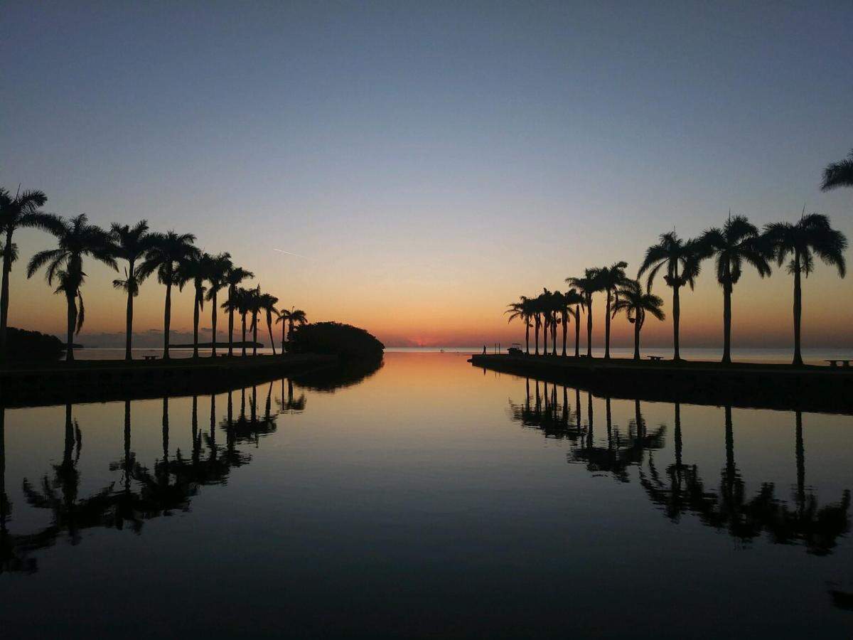  Vea el amanecer sobre la Bahía Vizcaína desde el jardín de Deering.