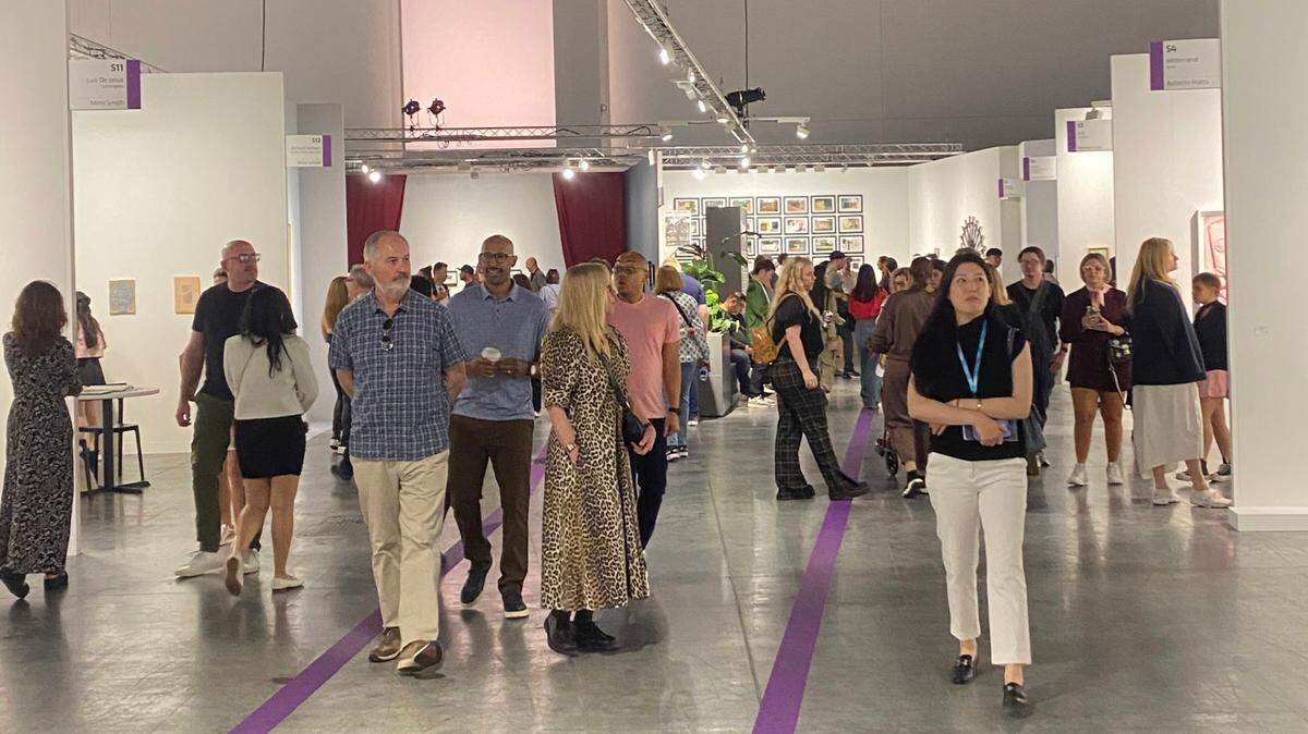Programas Especiales: Survey. Art Basel Miami Beach, 2024.