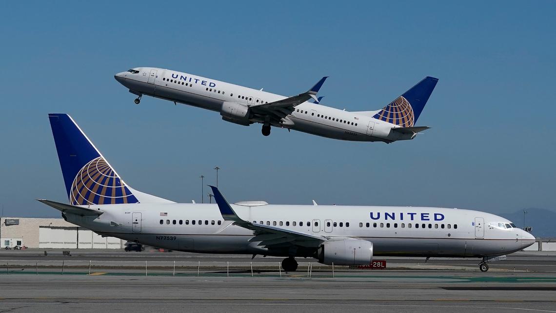 A snake was discovered on United flight from Florida to New Jersey