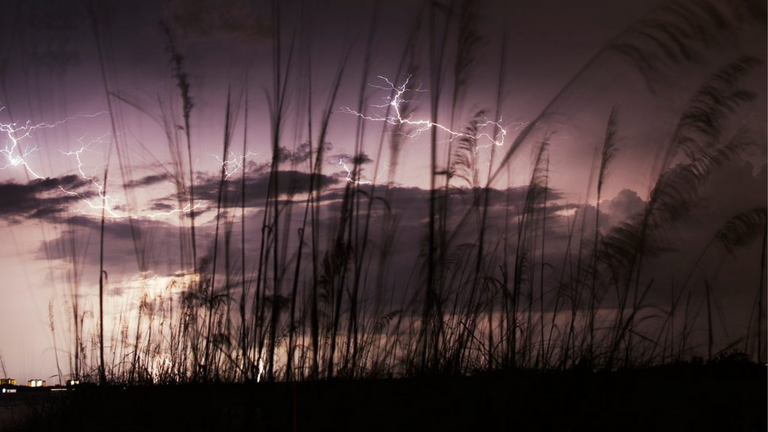 ¿Están empeorando las tormentas eléctricas y los rayos este año en el sur de la Florida?