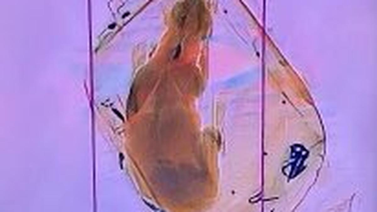 La TSA de Great Lakes dijo en su cuenta de Twitter que el canino dentro de la mochila pasó por la máquina de rayos X en el puesto de inspección.
