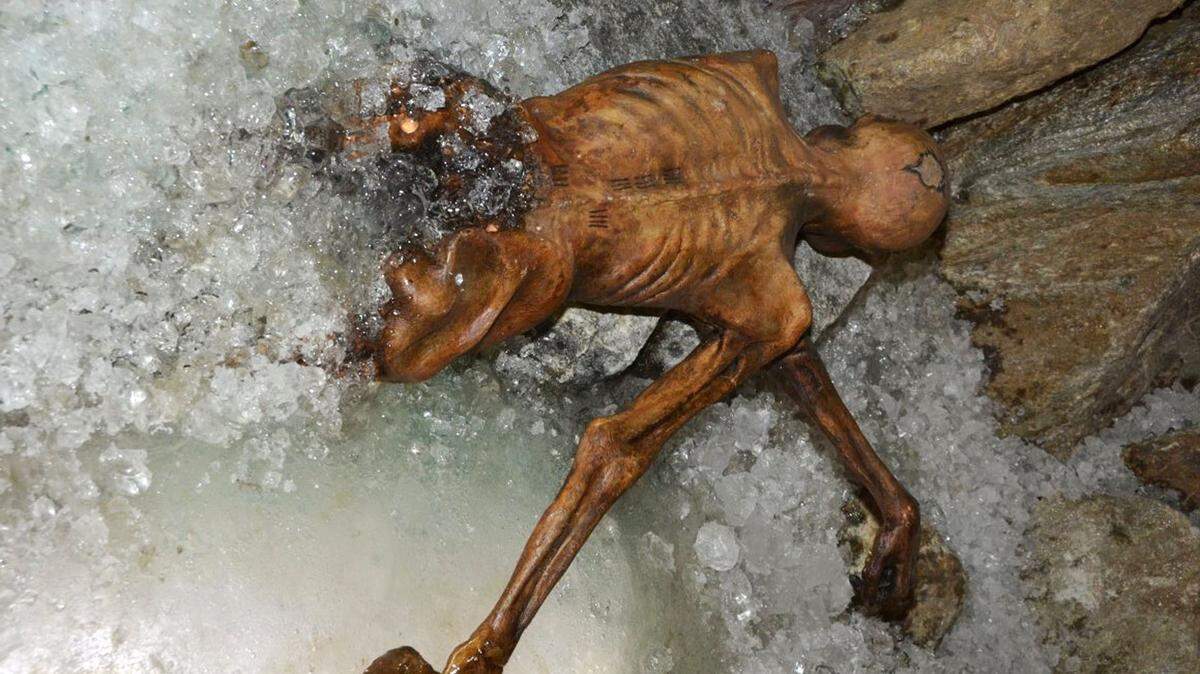 Los estudios sobre “el hombre de hielo” arrojaron que tenía 46 años, medía poco más de 1.54 m y su dieta era abundante en carne.