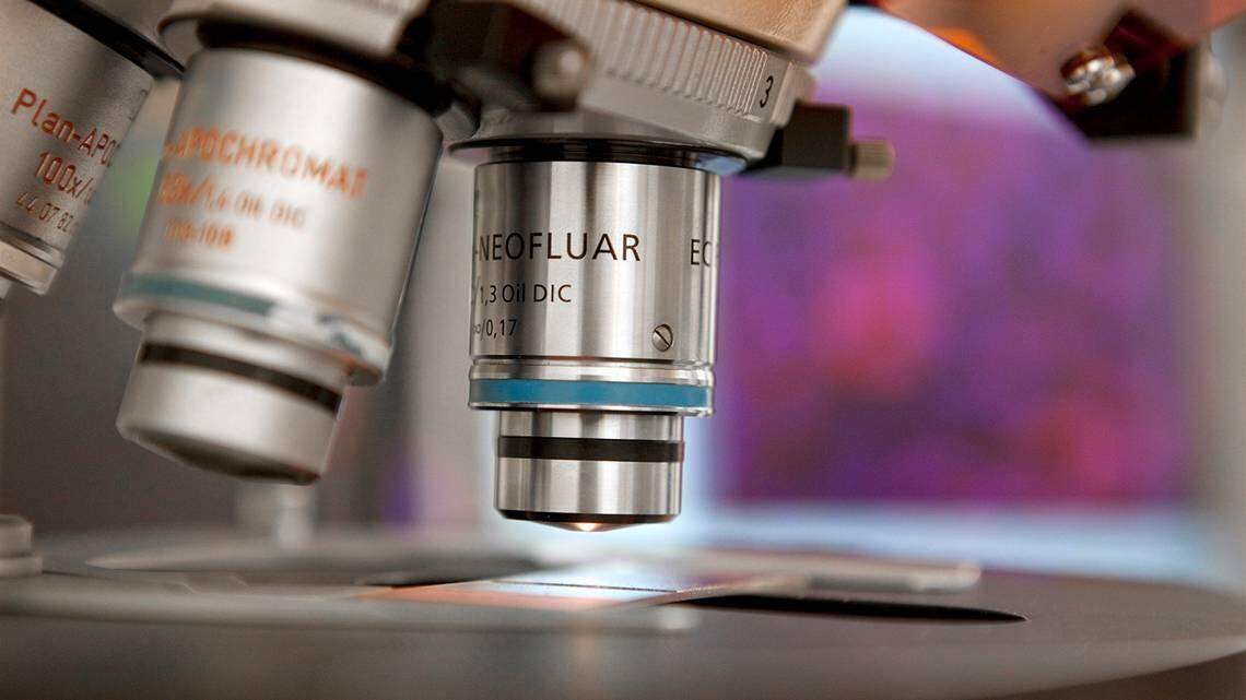 Una guía sobre qué hacer si una tienda, un fabricante o una agencia federal como la FDA retiran sus alimentos del mercado. 