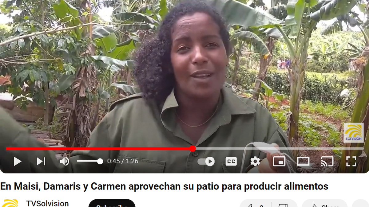 En Guantánamo, la cubana empezó a criar abejas para obtener miel como endulzante ante la escasez de azúcar en su casa.