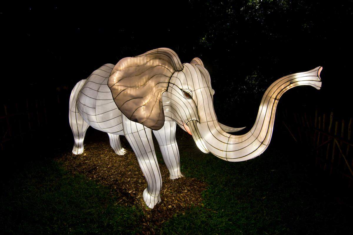 El Zoo Miami este año cuenta con un millón de luces brillantes con forma de animales.