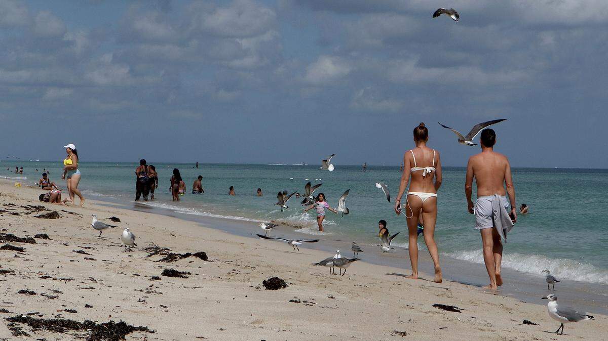 Why do people love Miami? Maybe the weather has something to do with it.