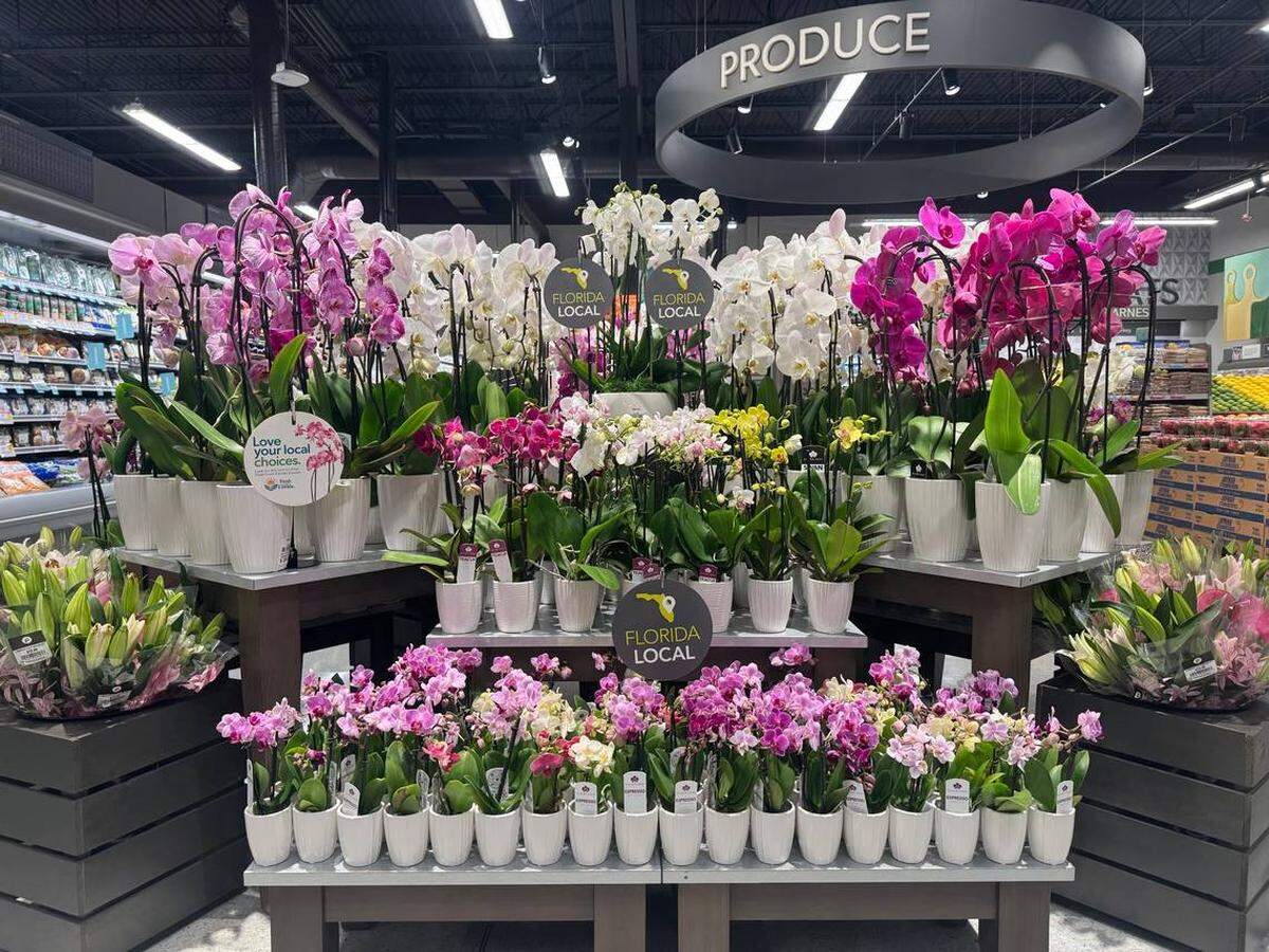 El departamento de vegetales en el nuevo Publix de Briar Bay, en el área de Kendall, tendrá una sección de flores que señalan las distintas estaciones con vibrantes colores.