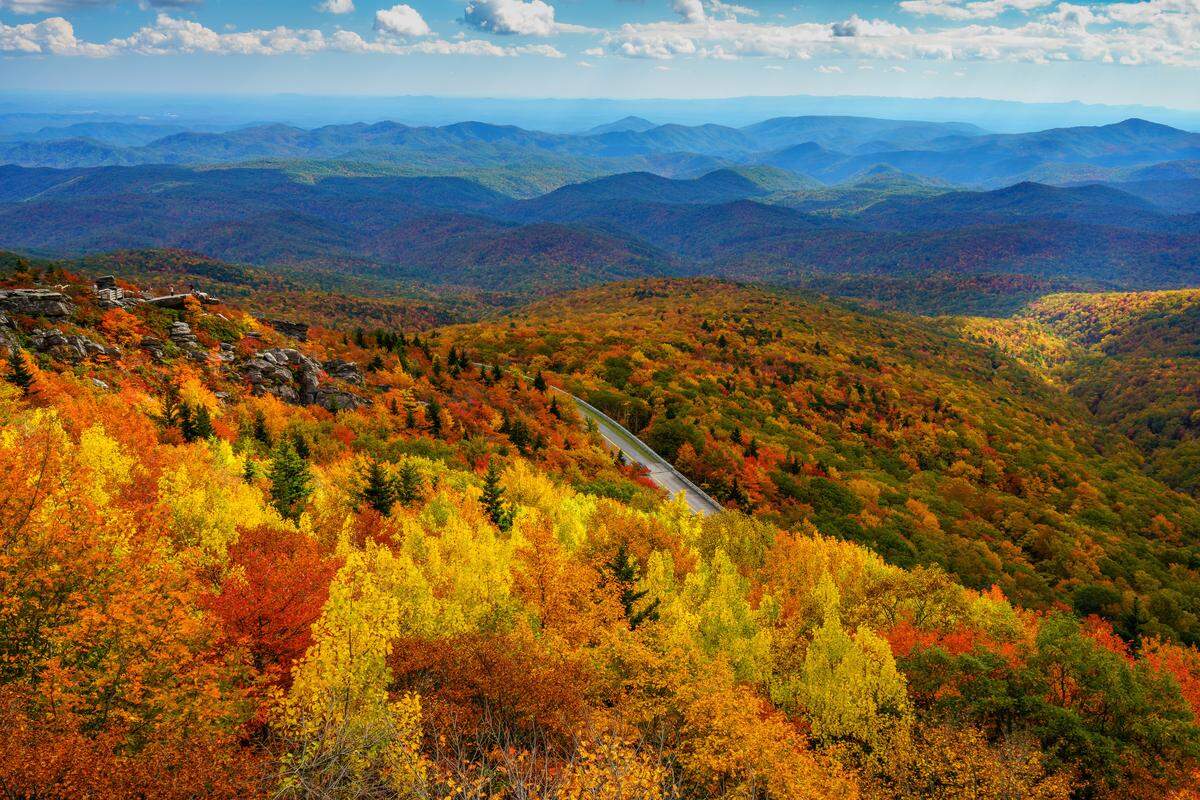 Las vistas desde algunos ferrocarriles panorámicos de EEUU, que recorren bosques y montañas, ofrecen una inolvidable experiencia otoñal. 