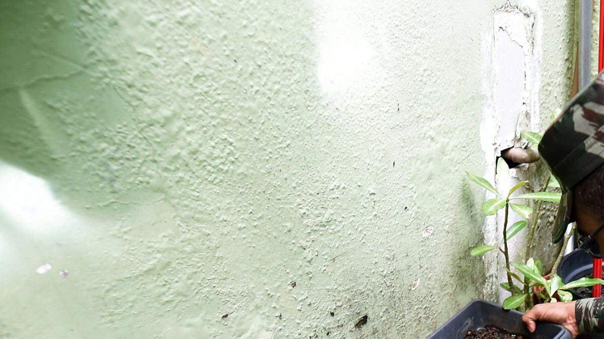 Miembros de las fuerzas armadas brasileñas comprueban una casa durante las operaciones dentro de una movilización nacional contra el dengue, la fiebre del mosquito Aedes aegypti -que transmite Chikungunya y zika virus-- en una zona rural en Brazlândia, 45 km al noroeste de Brasilia, el 15 de febrero de 2016. 