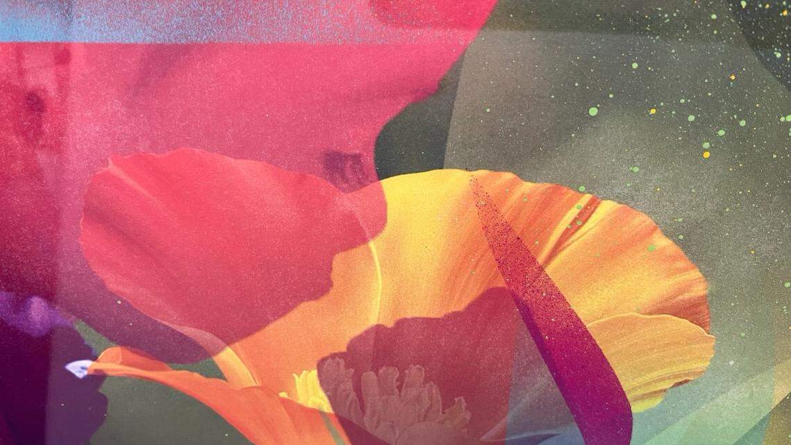 Exhibición “Photosynthesis V.1” de Muta Santiago (AKA MutaVision) en The Confidante Miami Beach hasta mediados de noviembre. 